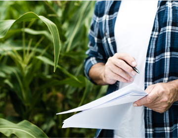 Seguro agrícola