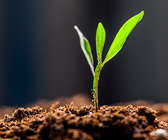 Sustentabilidade e Agronegócio: o futuro é sustentável