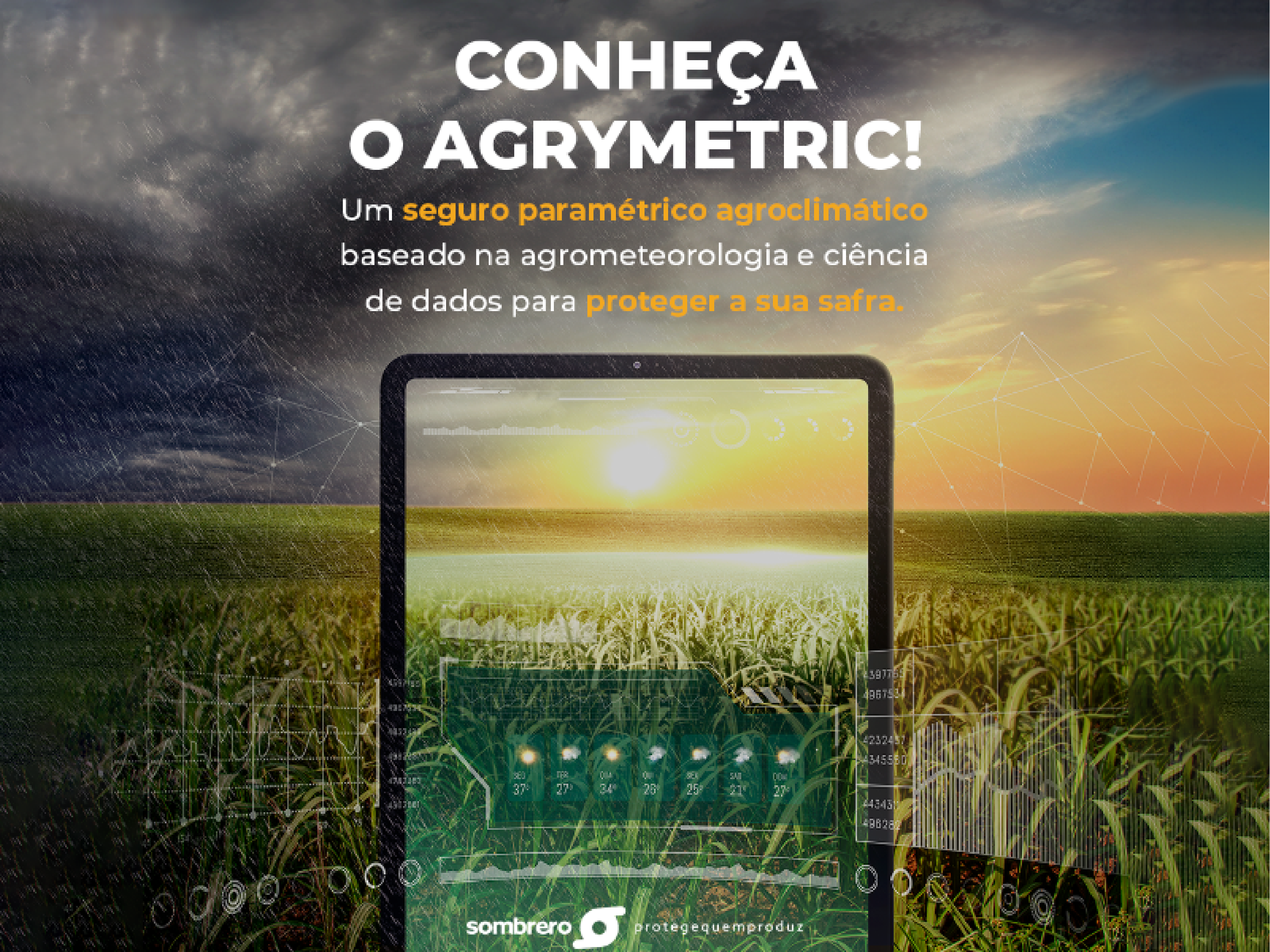 Sombrero lança seguro paramétrico mais barato para cana-de-açúcar