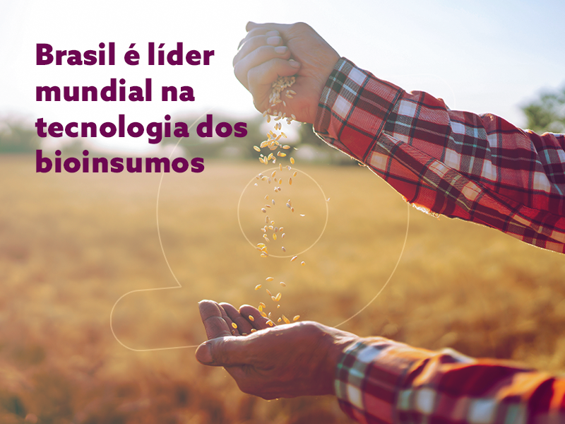 Brasil é líder mundial na tecnologia dos bioinsumos que protegem e valorizam safra