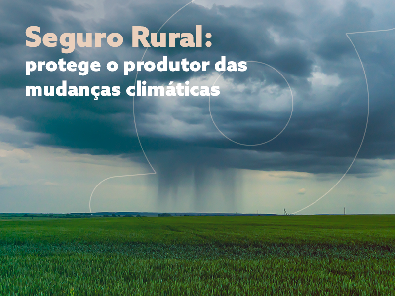 Seguro Rural: protege o produtor das mudanças climáticas