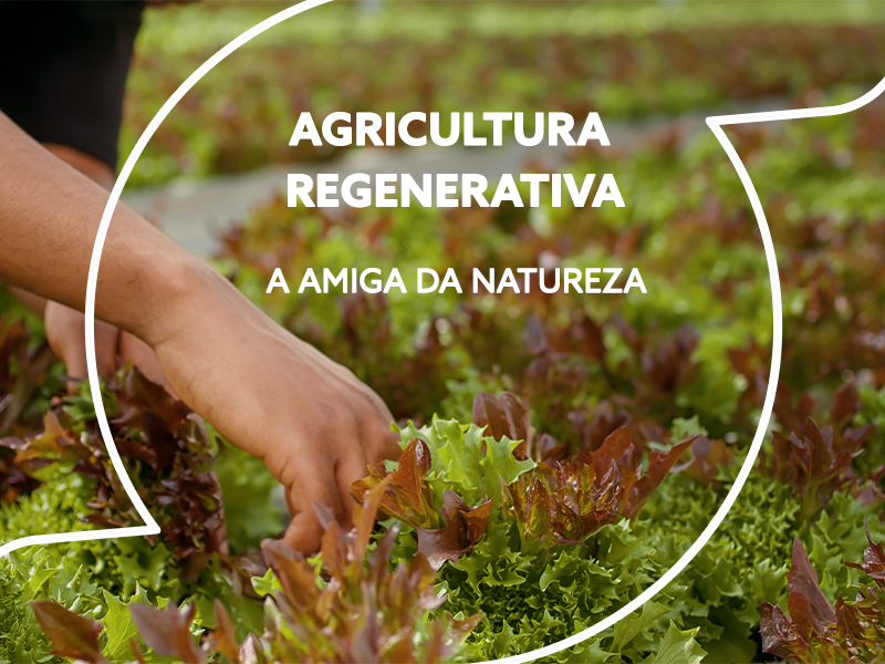 Agricultura regenerativa é chance real de equilíbrio climático