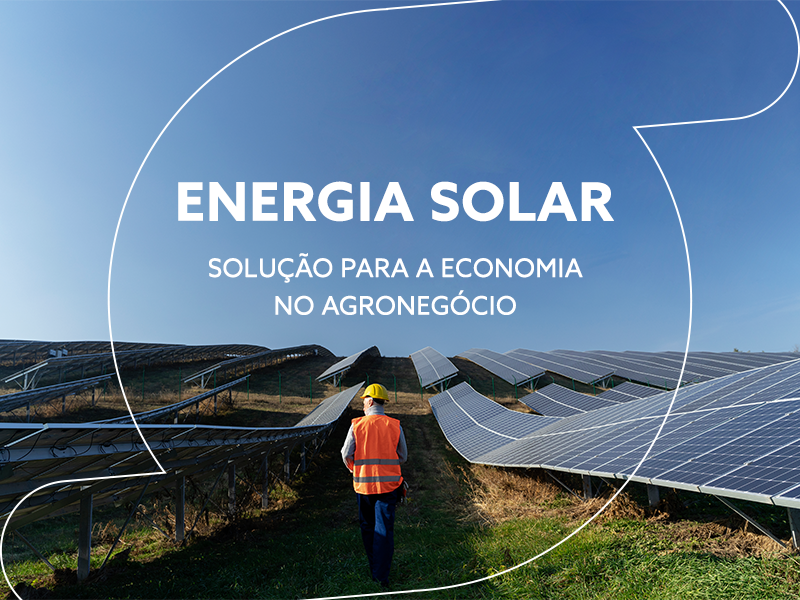 Energia solar no agronegócio gera economia com produtividade