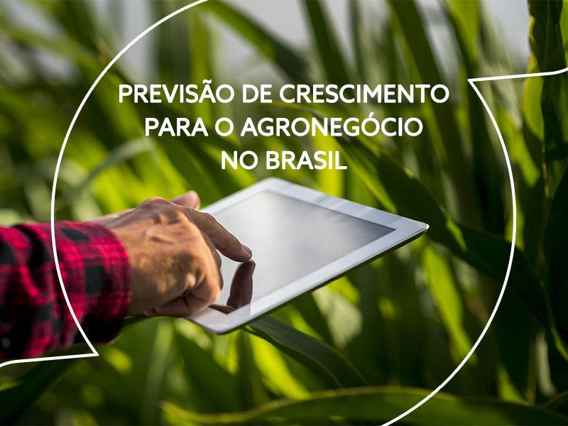 Dez anos a mil: próxima década será de crescimento na produção de grãos no Brasil