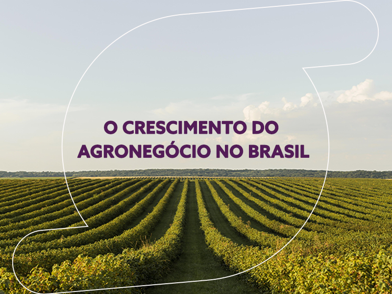 Por que há 19 milhões de trabalhadores no agronegócio brasileiro atualmente?