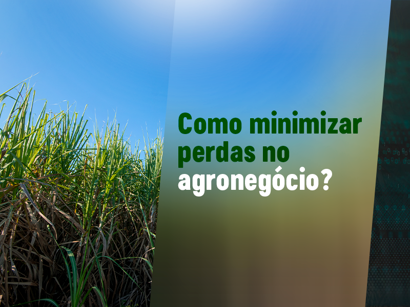 Banner - Como minimizar perdas no agronegócio?