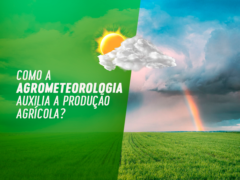 Banner - Como a Agrometeorologia auxilia a produção agrícola?