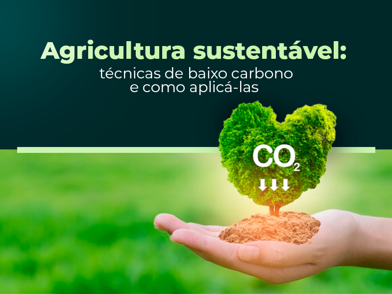 Banner - Agricultura sustentável: técnicas de baixo carbono e como aplicá-las