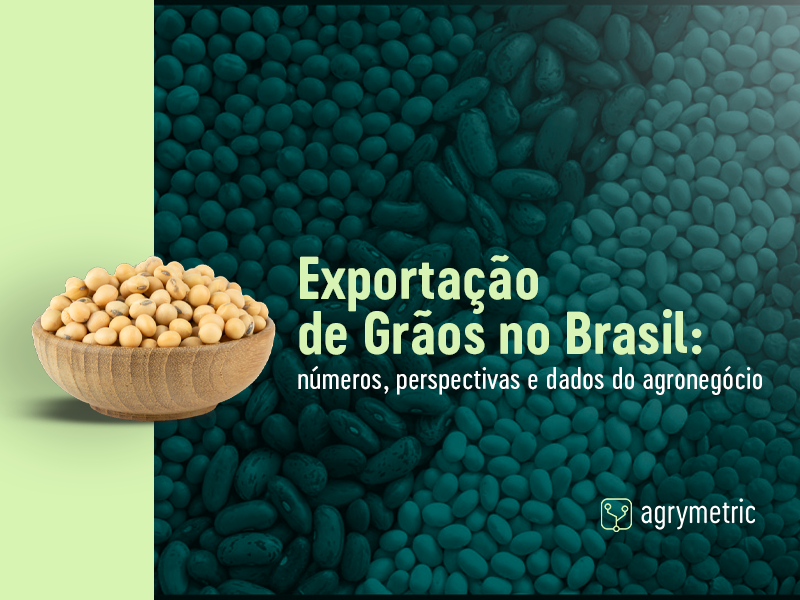 Banner - Exportação de Grãos no Brasil: números, perspectivas e dados do agronegócio