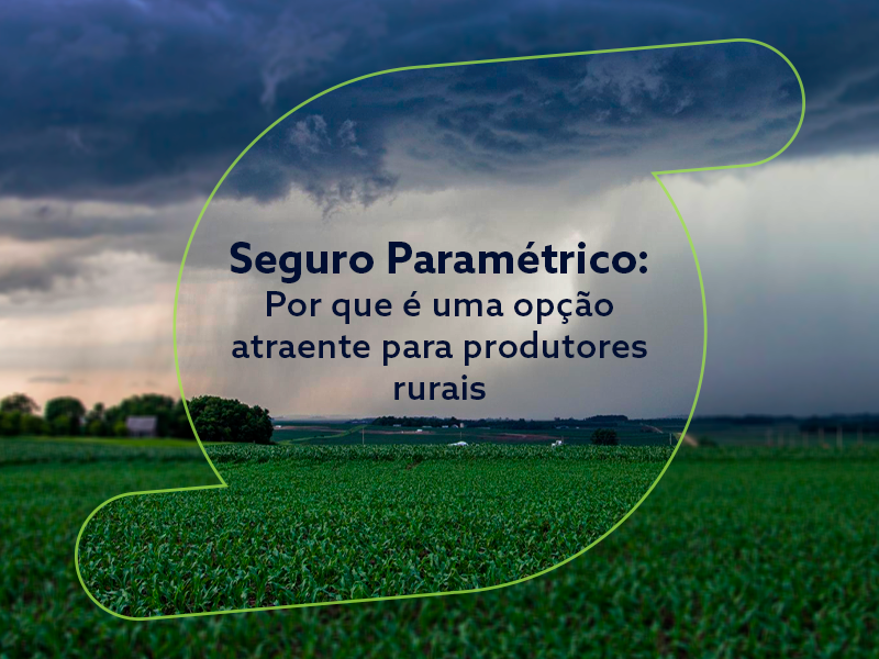 Imagem para ilustrar texto de blog sobre seguro paramétrico