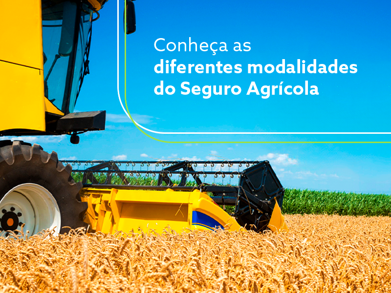 Imagem para ilustrar texto de blog sobre seguro agrícola